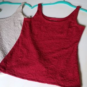 ❤ WHBM Bundle of 3 Gorgeous Camisoles !!